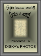 Award # 492 - Gigi's Dream Catcher Gold Award (CLOSED)