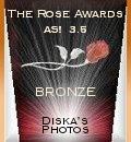 Award # 496 - Rose Bronze Award (CLOSED)