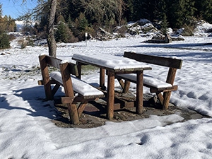 Area attrezzata a pic-nic: uno dei tavoli
