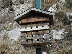 Casetta nido per lo studio degli insetti impollinatori selvatici