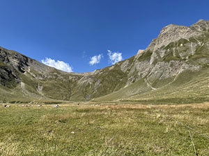 Alpe Bettelmatt
