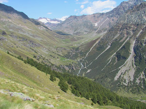 Panorama sulla Val Rezzalo