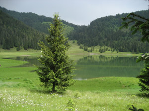 Il Lago di Lova