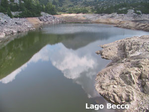 I cinque laghi nei dintorni del rifugio: Lago Becco, ...