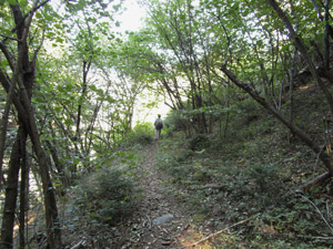 Il sentiero tra i quercioli