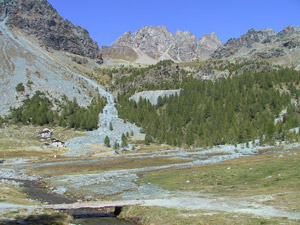 Alpe Musella