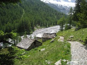 Alpe Laresin