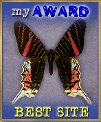 Award # 10 - My Award Best Site (CLOSED)