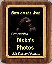 Award # 15 - Big Cats Best Award (CLOSED)