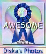 Award # 72 - Awesome Cool Site Award (CLOSED)