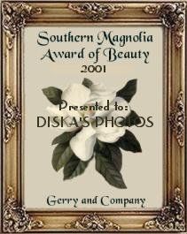 Award # 82 - Southern Magnolia Award of Beauty (CLOSED)