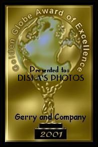 Award # 83 - Golden Globe Award of Excellence (CLOSED)