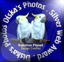 Award # 102 - Kaketoe Planet (CLOSED)