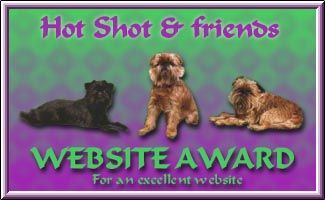 Award # 113 - Hot Shot Award (CLOSED)
