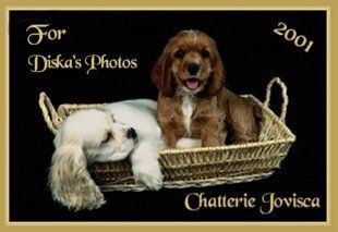 Award # 136 - Chatterie Jovisca Award (CLOSED)