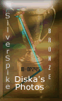 Award # 139 - Silver Spike Award (Bronze) - (CLOSED)