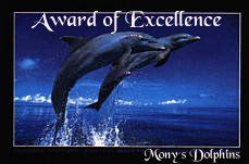 Award # 153 - Mony's Dolphins Award - (CLOSED)