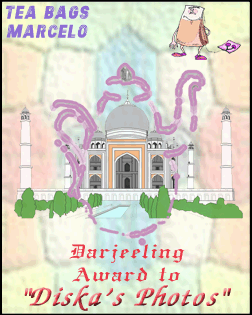 Award # 192 - Tea Bags Marcelo Award - (CLOSED)