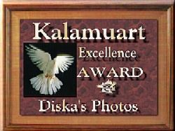 Award # 196 - Kalamuart Excellence Award (CLOSED)