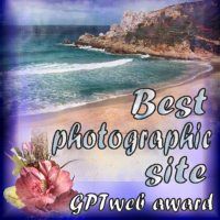 Award # 254 - GPT Web Award (CLOSED)