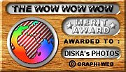 Award # 264 - WowWowWow Merit Award !