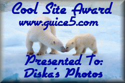 Award # 294 - Guice 5 Cool Site Award - (CLOSED)