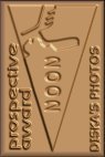Award # 299 - Prospective Award (Bronze) 2002 (CLOSED)