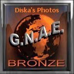 Award # 301 - GNAE Awards Program Bronze Award - (CLOSED)