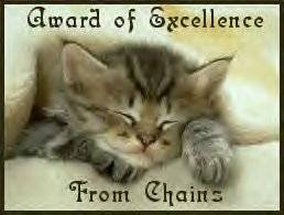 Award # 313 - Chains Award of Excellence (CLOSED)
