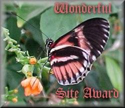 Award # 325 - Curtis Wonderful Site Award - (CLOSED)