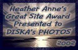 Award # 330 - Heather Anne's Great Site Award - (CLOSED)