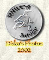 Award # 352 - Redneck Nature Silver Award (CLOSED)