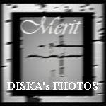Award # 353 - Cerulean Merit - Award (CLOSED)