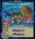 Award # 363 - Treasured Web Silver Award