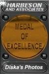 Award # 368 - Harbeson and Associates Bronze Medal of Excellence (AWARD PROGRAM CLOSED)