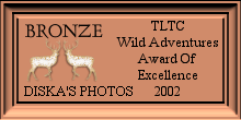 Award # 383 - TLTC Wild Adventures Bronze Award  - (CLOSED)
