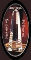 Award # 395 - Misspeds Bronze Award (CLOSED)
