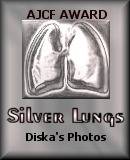 Award # 396 - AJCF Silver Lungs Award - (CLOSED)