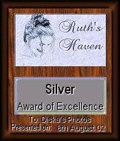 Award # 398 - Ruth's Haven Silver Award of Excellence (CLOSED)