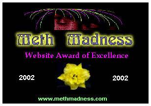Award # 399 - Meth Madness Award of Excellence (CLOSED)