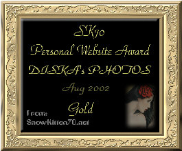 Award # 408 -  SK70 Gold Award (CLOSED)