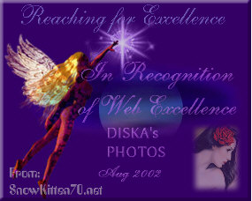 Award # 409 -  SK70 Reaching for Excellence Award (CLOSED)