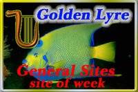 Award # 424 - Golden Lyre General Sites Award (CLOSED)