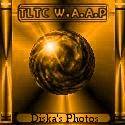 Award # 428 - TLTC Wild Adventures Bronze Award 2002 (CLOSED)