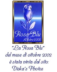 Award # 440 - Mary - La Rosa Blu (AWARD PROGRAM CLOSED)