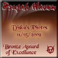 Award # 454 - Brujah Haven Bronze Award of Excellence (CLOSED)