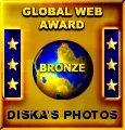 Award # 461 - Simming Force Bronze Global Web Award (CLOSED)