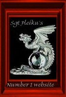 Award # 476 - Sgt Pleiku's Number 1 Website Award (CLOSED)