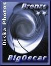 Award # 478 - Big Oscar Bronze Award 2003 (CLOSED)
