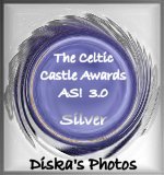 Award # 480 - Celtic Castle Silver Award (CLOSED)
